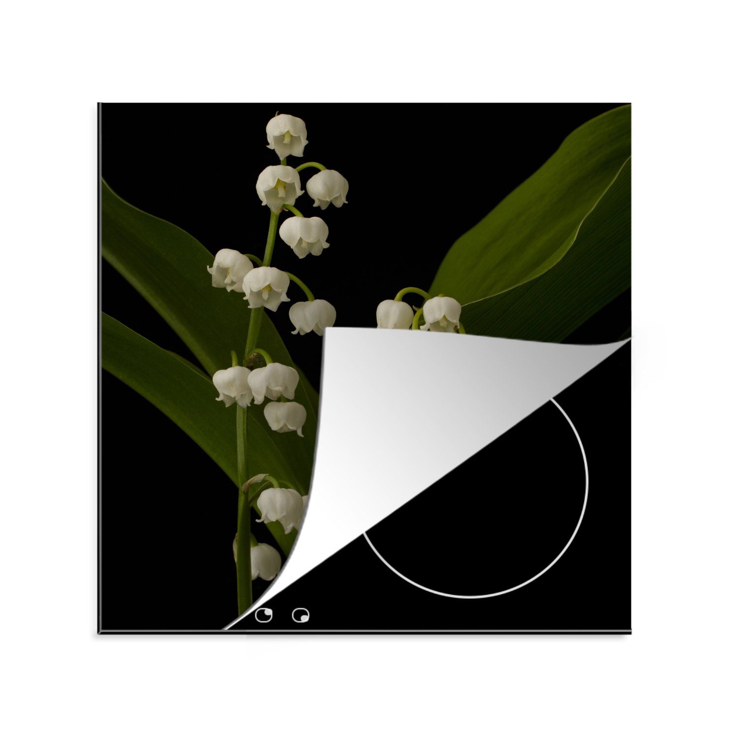 MuchoWow Herdblende-/Abdeckplatte Zwei Maiglöckchenblüten im Dunkeln, Vinyl, (1 tlg), 78x78 cm, Ceranfeldabdeckung, Arbeitsplatte für küche | Herdabdeckplatten