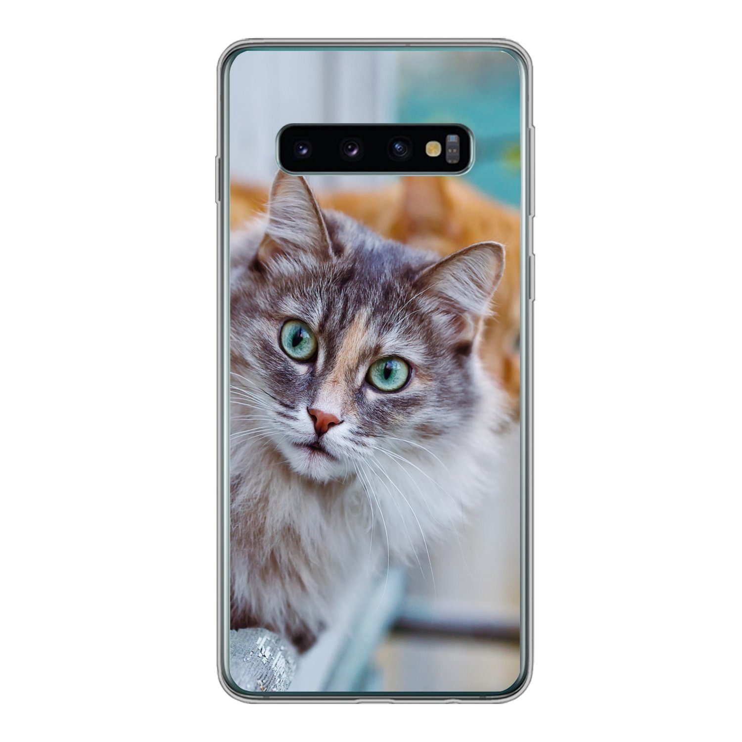 Handyhülle für Samsung Galaxy S10 Katze - Fenster - Katzen