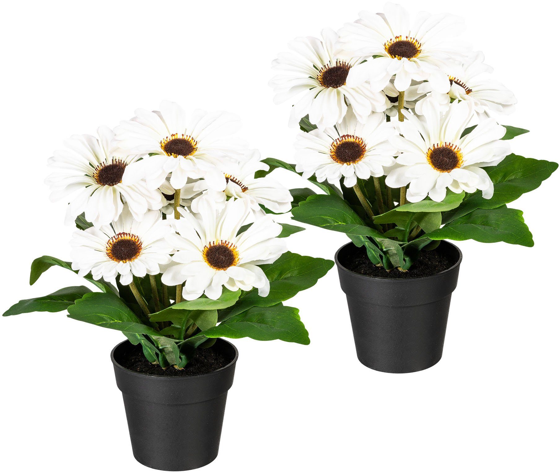 Kunstpflanze »Elaine« Gerbera, my home, Höhe 27 cm, im Topf, 2er Set-Otto