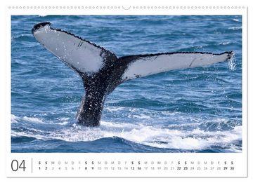 CALVENDO Wandkalender Magisches Island (Premium, hochwertiger DIN A2 Wandkalender 2023, Kunstdruck in Hochglanz)