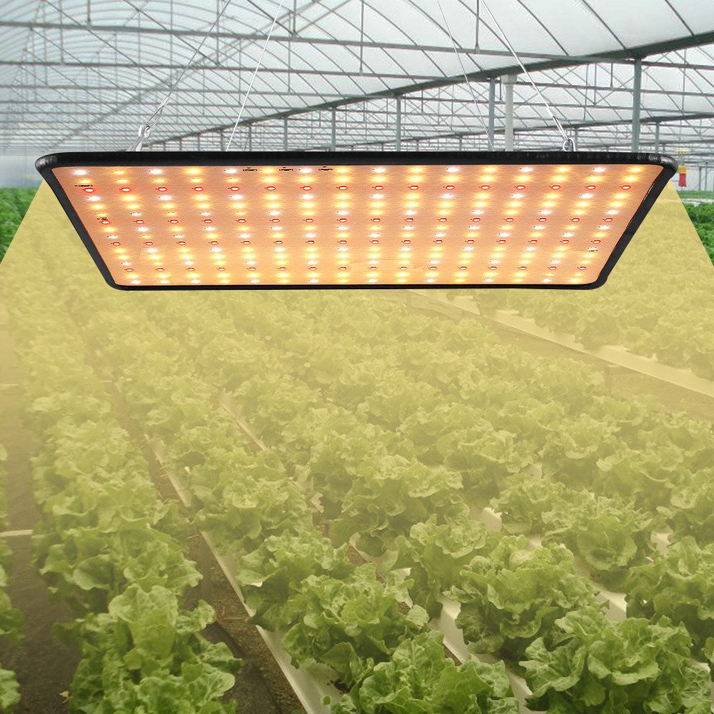 Laybasic Pflanzenlampe 225/256LEDs Vollspektrum Pflanzenlicht,UV IR Indoor LED Grow Lampe, für