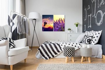 Sinus Art Leinwandbild 2 Bilder je 60x90cm Pusteblume Sommer Lavendel Sonnenuntergang Warm Weich Sanft
