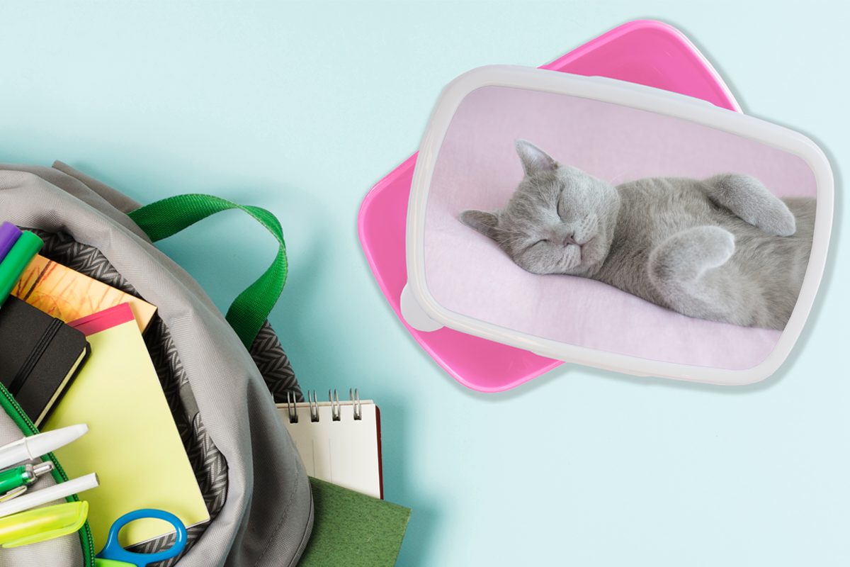 Mädchen, (2-tlg), Teppich, Kunststoff schläft für Brotbox Lunchbox MuchoWow auf rosa Graue Kinder, Katze Brotdose Erwachsene, Snackbox, Kunststoff,