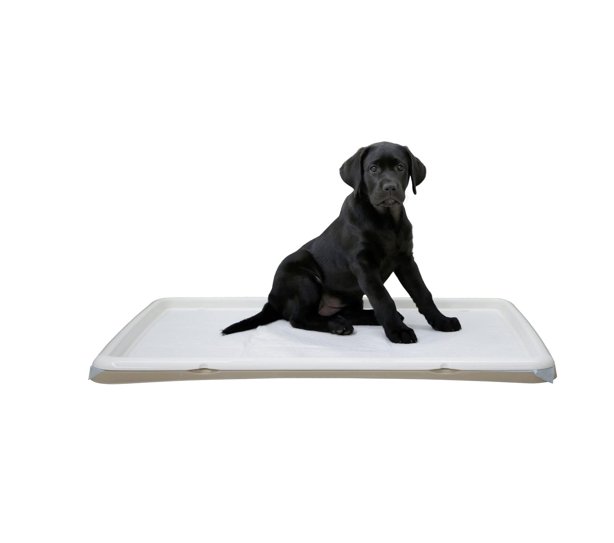 Kerbl Hundetoilette
