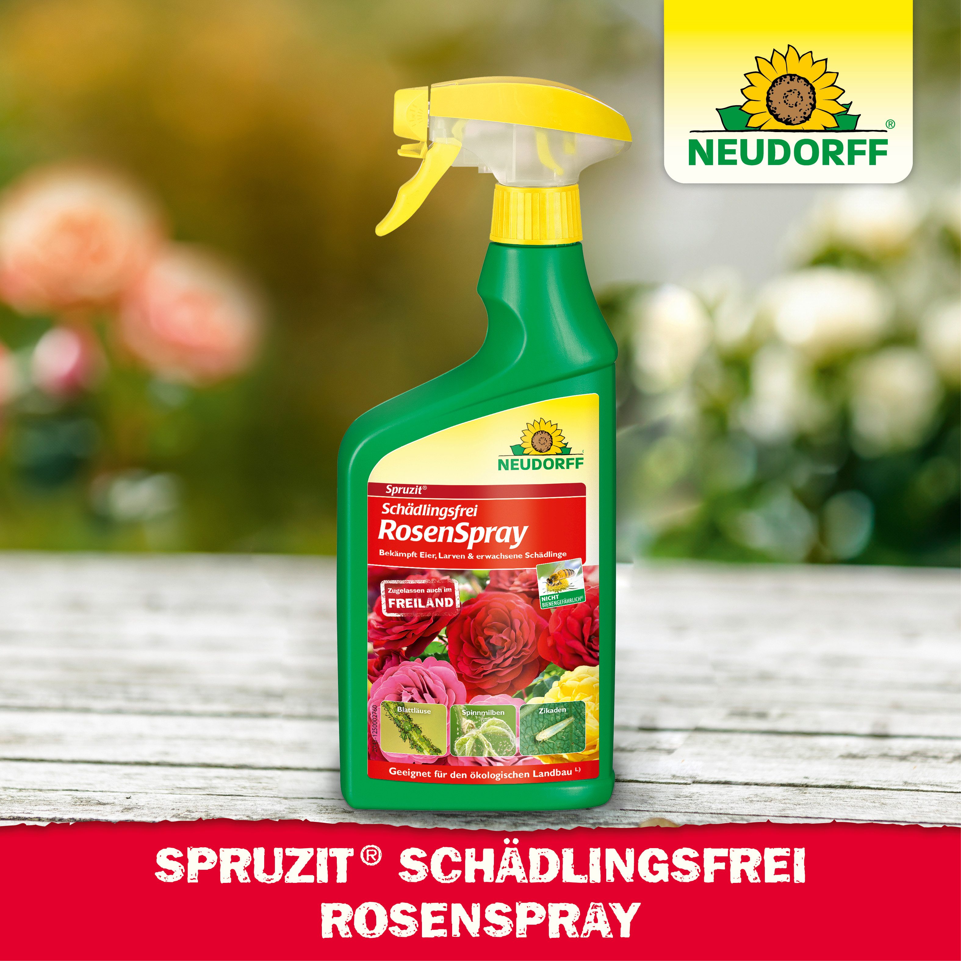 Neudorff Insektenspray Spruzit AF Schädlingsfrei RosenSpray 750 ml, 0.75 l, Für Rosen & Zierpflanzen im Freiland, Anwendungsfertiges Spray gegen Schädlinge an R – Bild 5 von 5