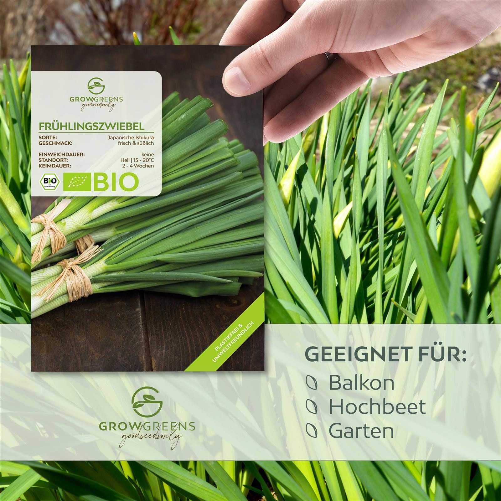Growgreens Gemüsesamen BIO Frühlingszwiebel Samen (Japanische günstig online kaufen