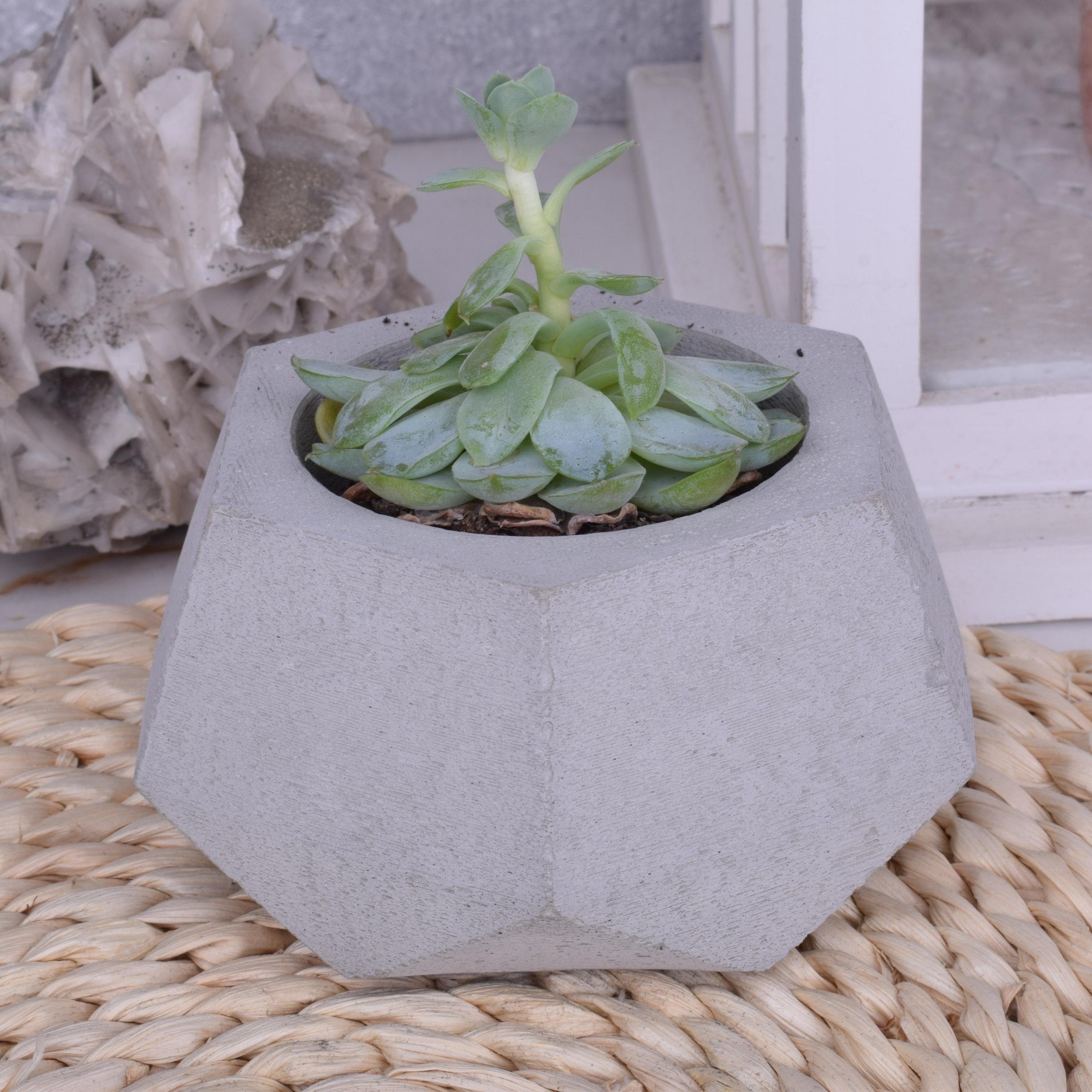 Design Blumentopf grau Dekoschale in Beton TIVENDIS aus "Lia"