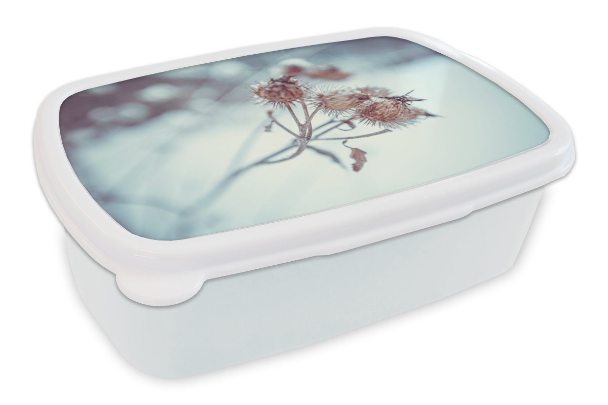MuchoWow Lunchbox Pflanzen - Winter - Schnee - Natur, Kunststoff, (2-tlg), Brotbox für Kinder und Erwachsene, Brotdose, für Jungs und Mädchen weiß | Lunchboxen