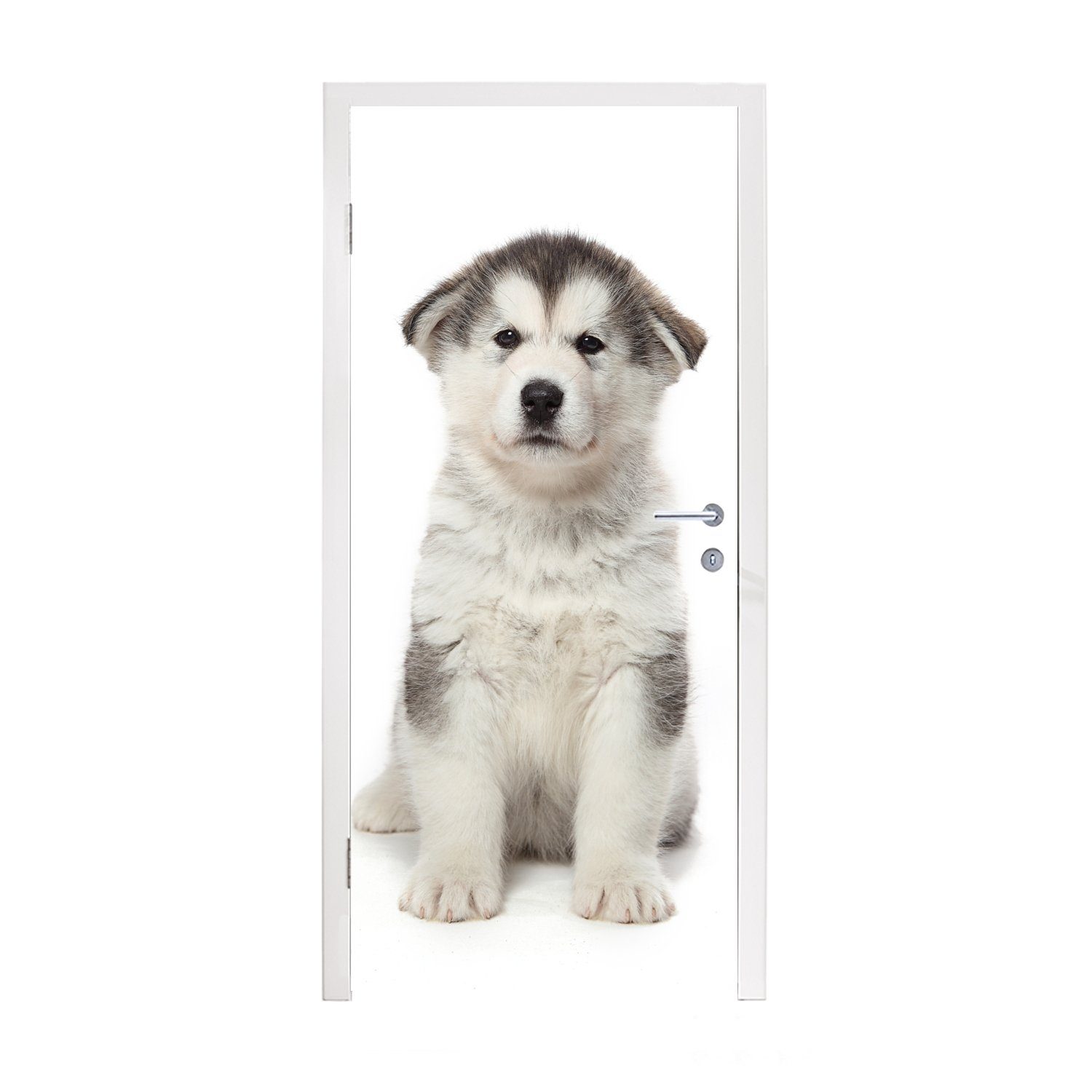 MuchoWow Türtapete Husky-Welpe auf weißem Hintergrund, Matt, bedruckt, (1 St), Fototapete für Tür, Türaufkleber, 75x205 cm