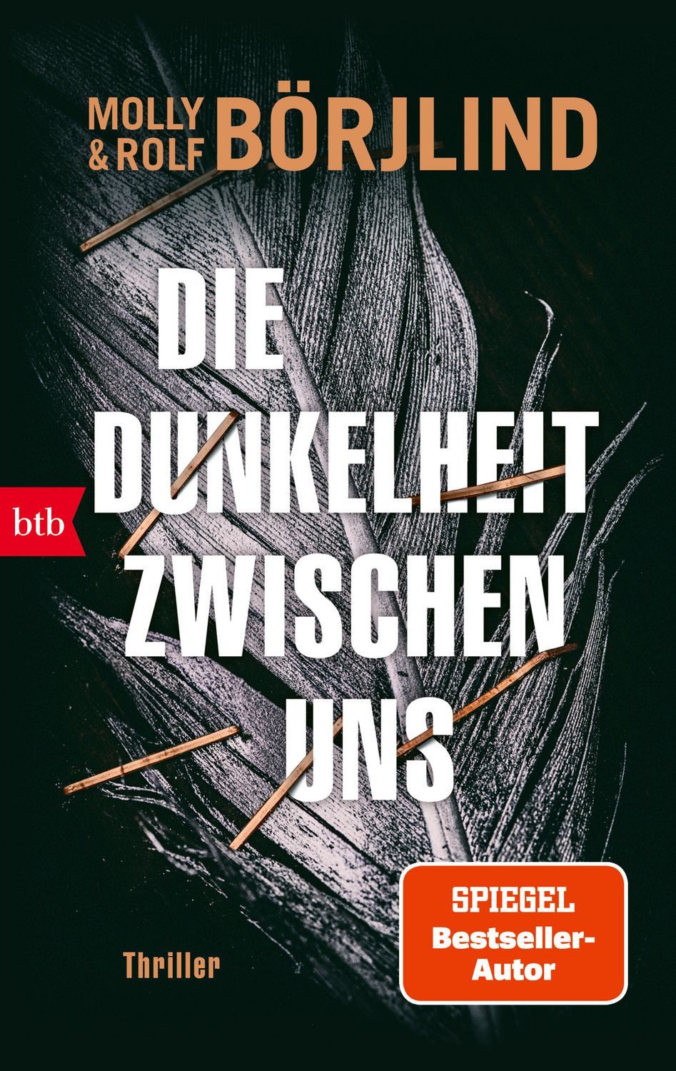 Die Dunkelheit zwischen uns / Molly Börjlind, Rolf Börjlind, Thriller