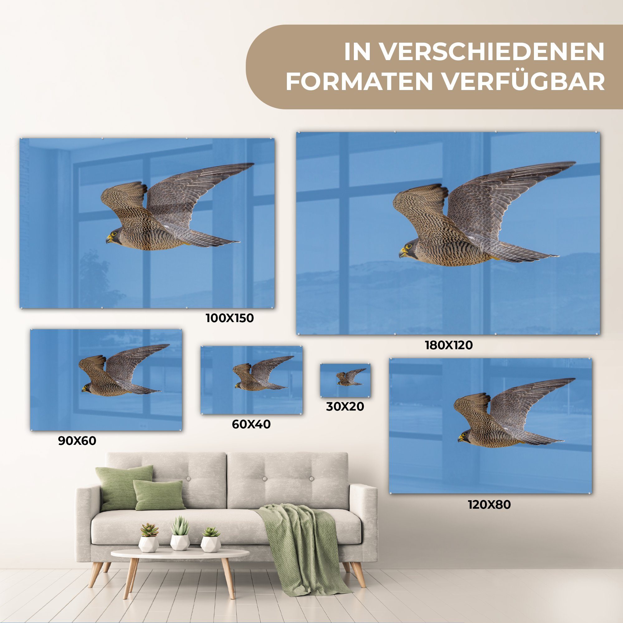 Schlafzimmer (1 Falke Wohnzimmer St), MuchoWow Luft Acrylglasbild - - Flügel, Acrylglasbilder &