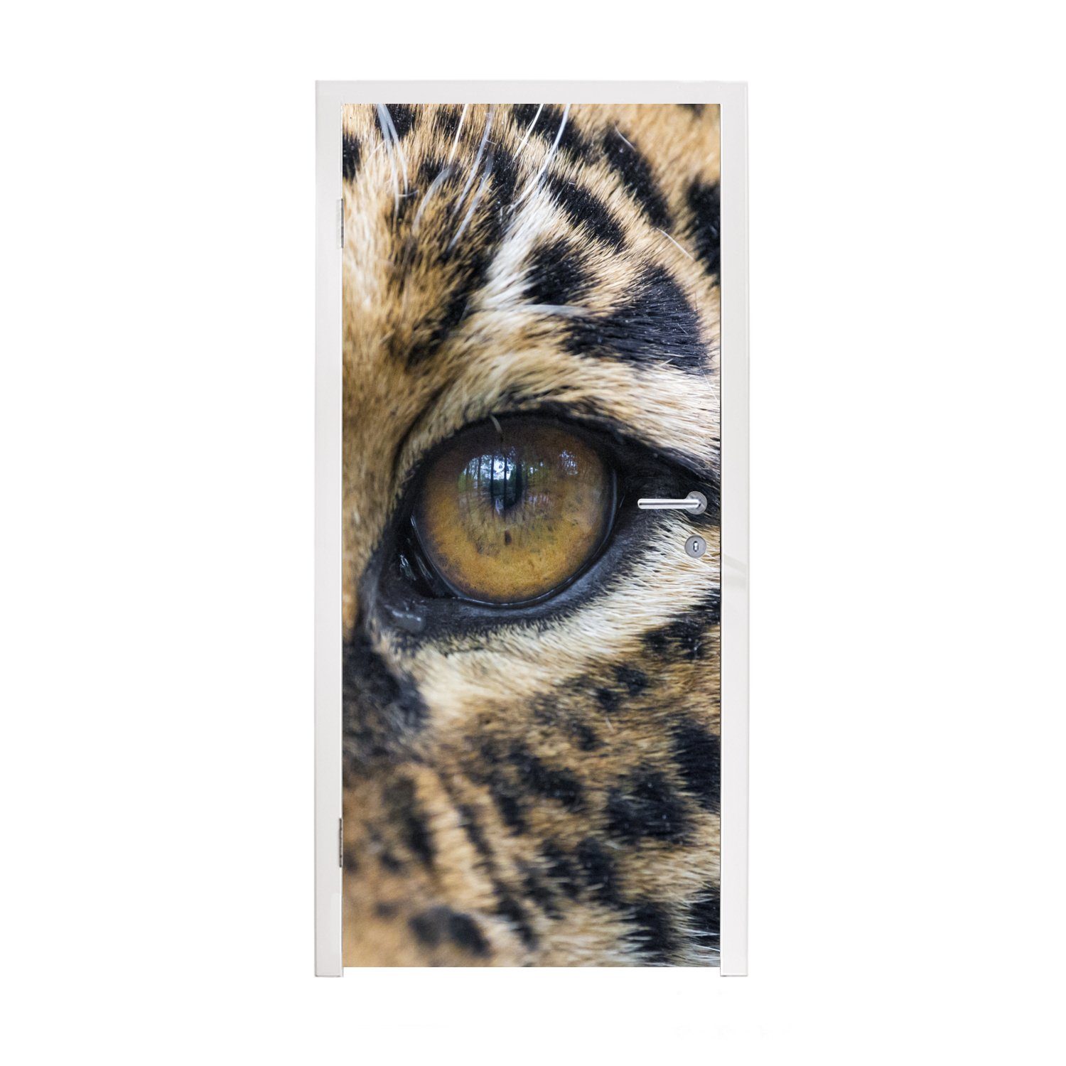 MuchoWow Türtapete Auge - Jaguar - Braun, Matt, bedruckt, (1 St), Fototapete für Tür, Türaufkleber, 75x205 cm