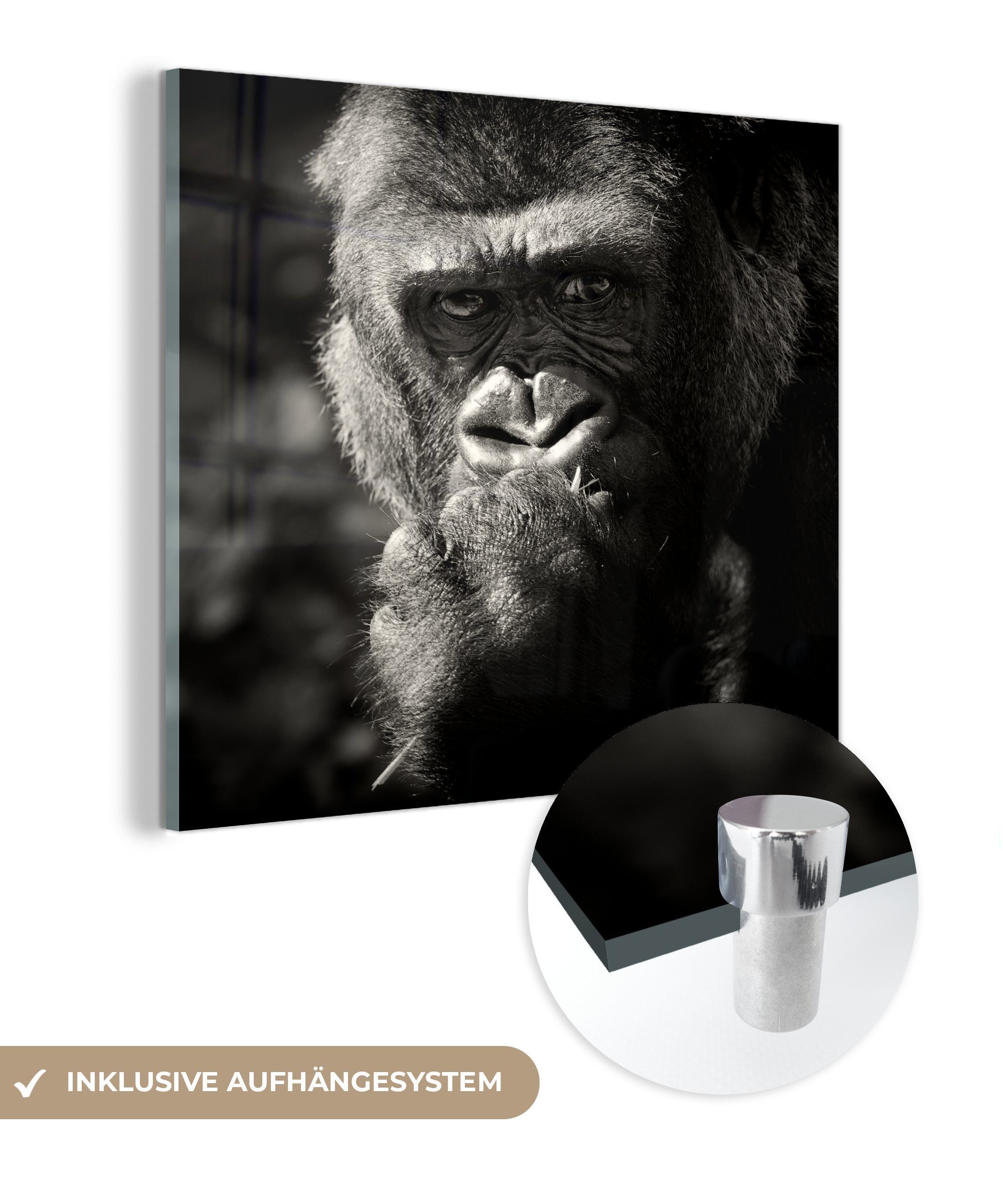 MuchoWow Acrylglasbild Gorilla auf schwarzem Hintergrund in Schwarz und Weiß, (1 St), Glasbilder - Bilder auf Glas Wandbild - Foto auf Glas - Wanddekoration