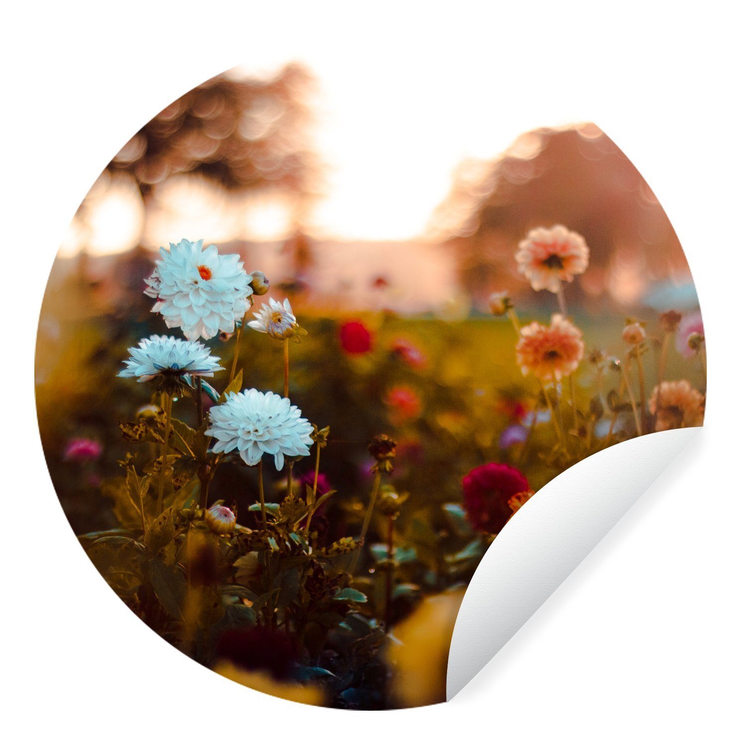 MuchoWow Wandsticker Blumen - Frühling - Sonne - Jahreszeiten (1 St), Tapetenkreis für Kinderzimmer, Tapetenaufkleber, Rund, Wohnzimmer