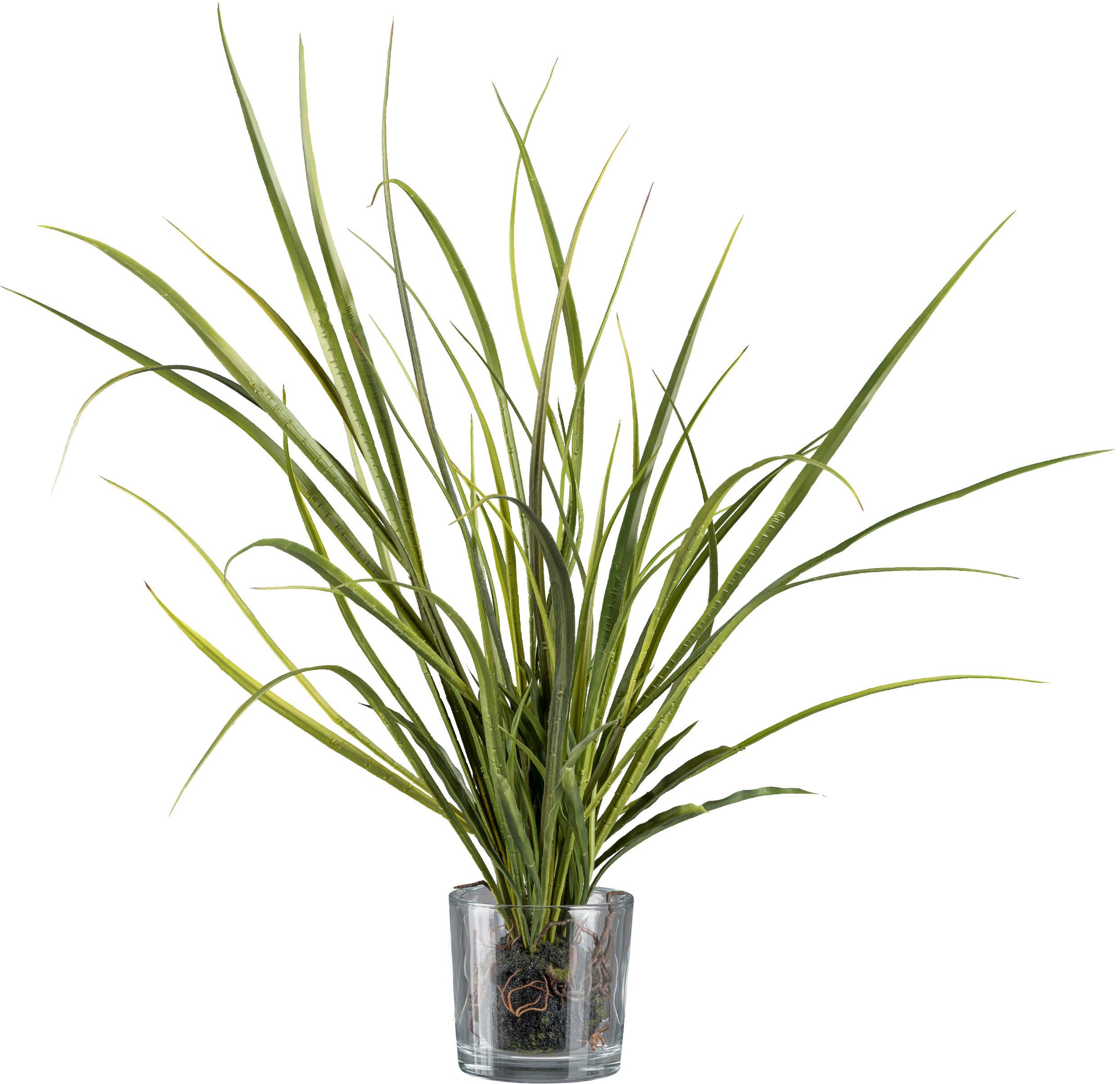 Kunstgras Wiesengras im Ballen und mit Glas Gras, Creativ green, Höhe 70 cm. Reduzierter Preis € 20,65. Unverbindliche Preisempfehlung € 39,99