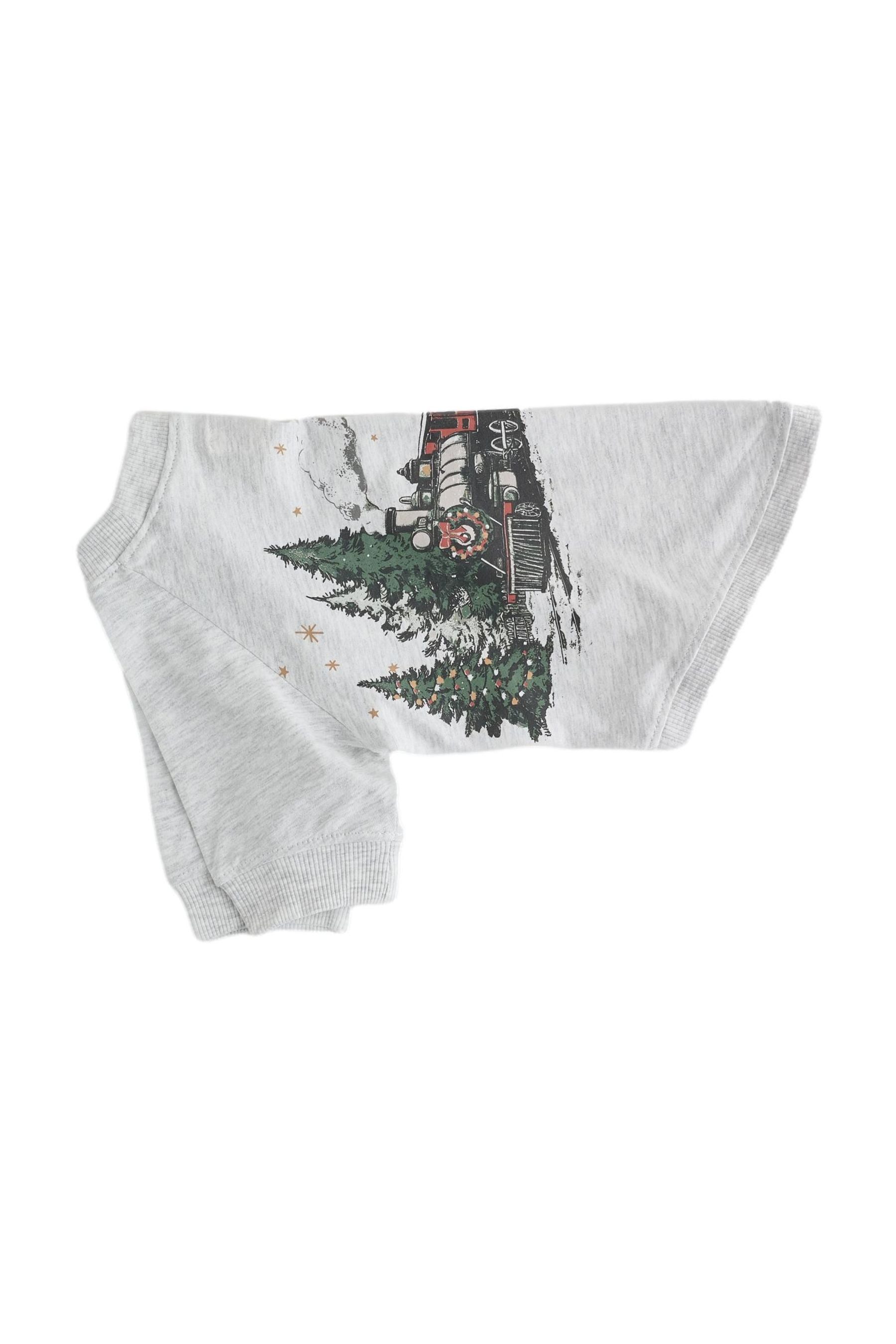Next Hundeshirt Weihnachtlicher Hunde-Schlafanzug