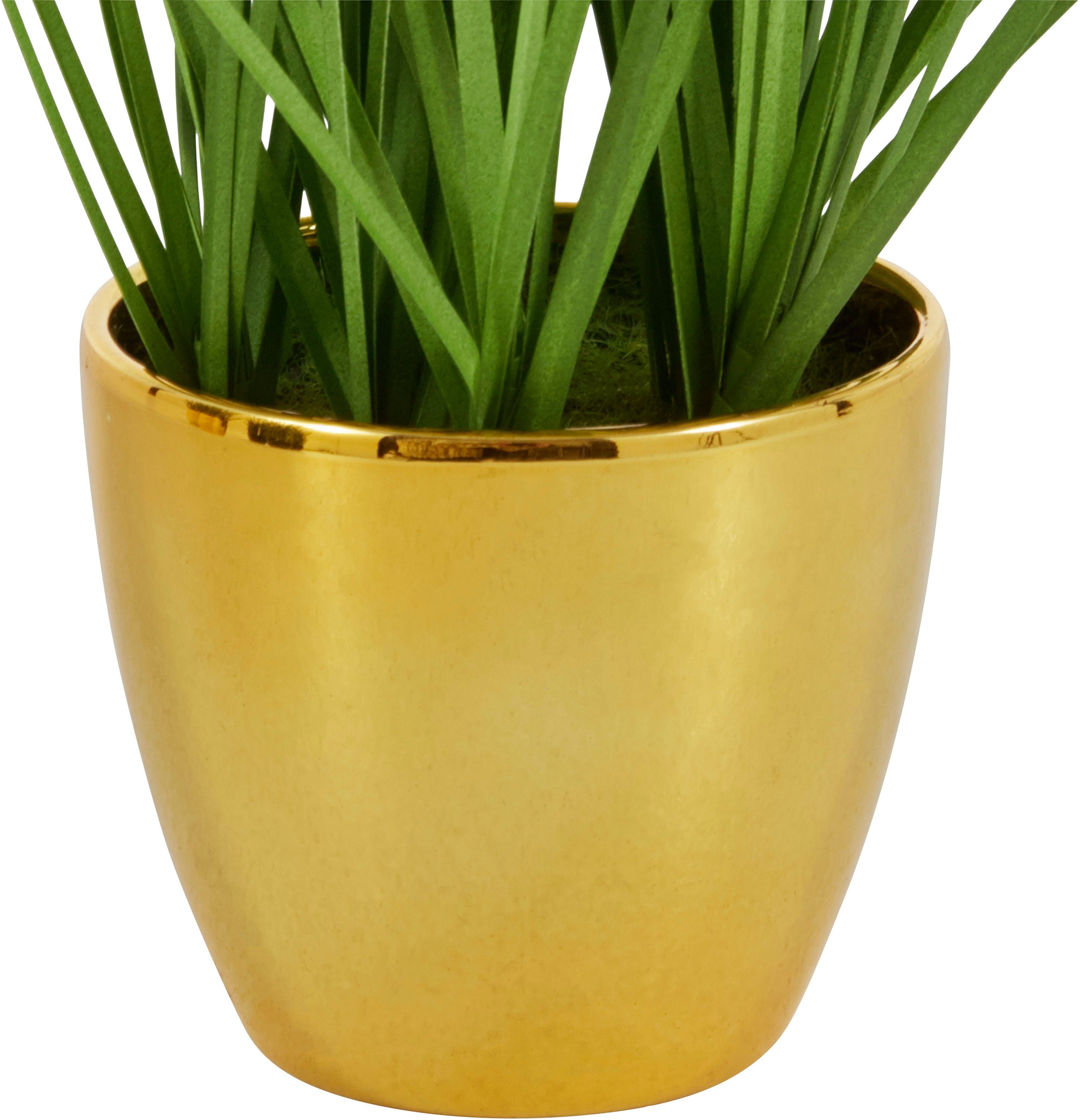 Topf, Gras, im Höhe grün/goldfarben Kunstpflanze, Leonique, 35 Kunstgras 3er-Set cm, Kletten, mit Grasbusch