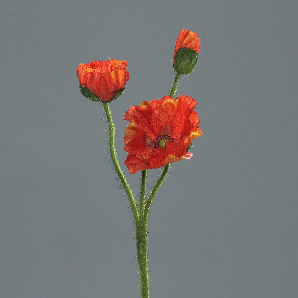 Kunstblume Mohnzweig mit 2 Blüten und 1 Knospe 56cm DP Blumen künstlicher P günstig online kaufen