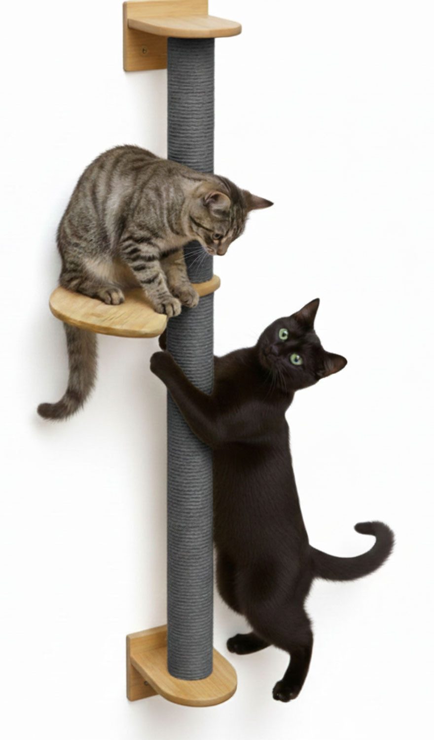 eyepower Kratzbaum zur Wandmontage - 102 cm Wandkratzbaum für Katzen mit 1 Bambus Plateau, Sisalstamm Wand - Katzenkratzbaum platzsparend - Kletterwand Katze