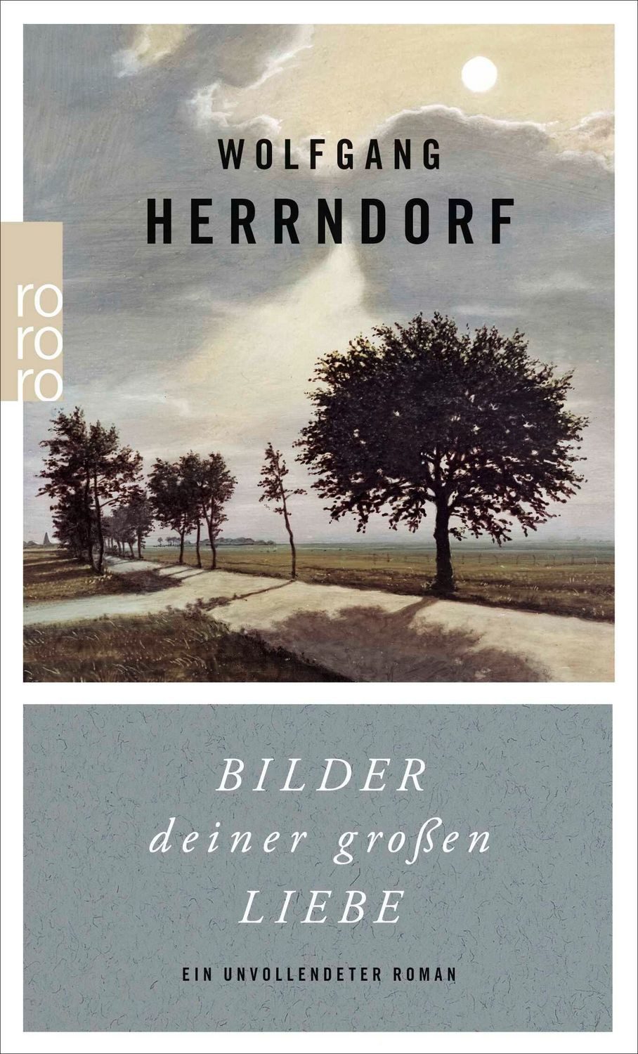 Bilder deiner großen Liebe / Wolfgang Herrndorf