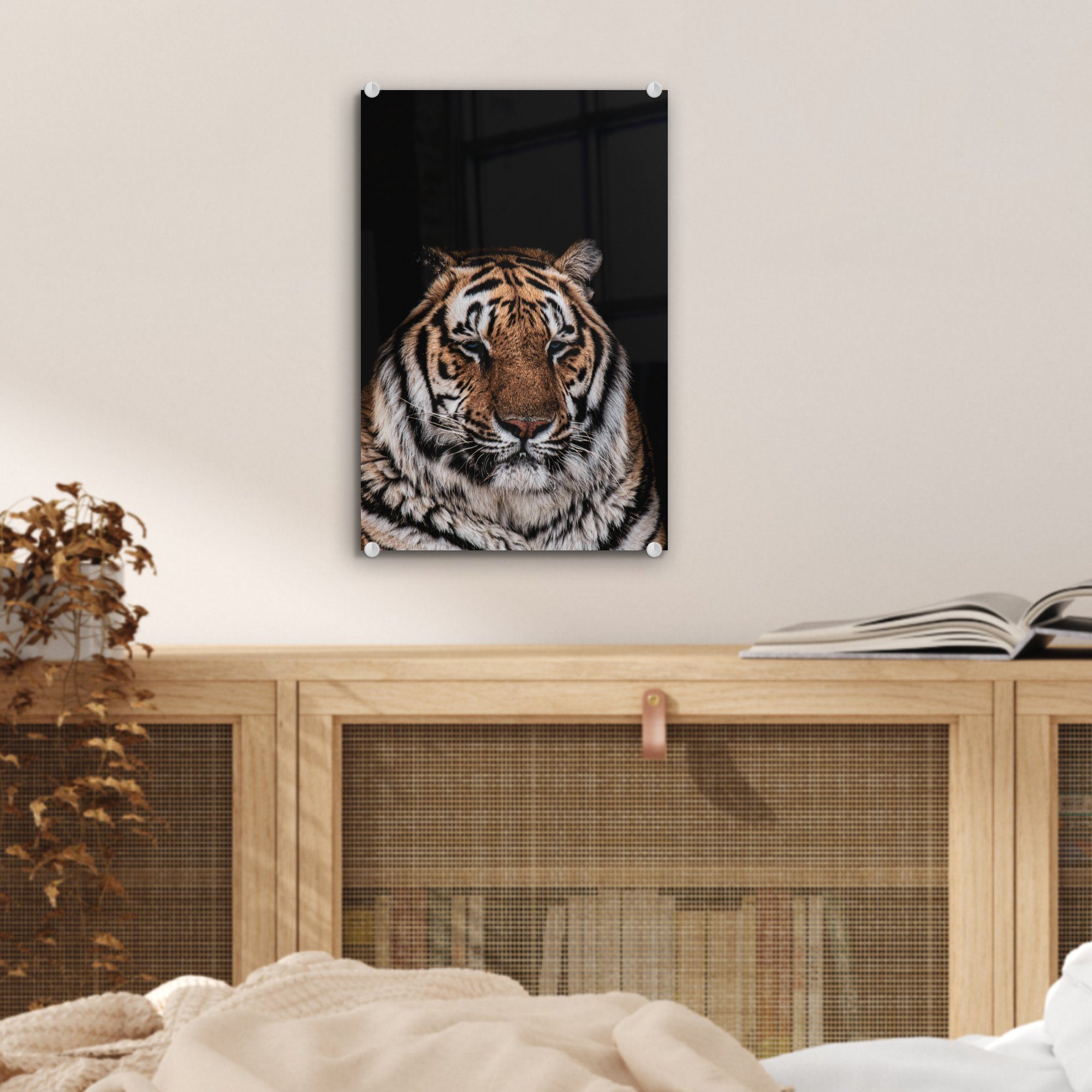 Tiger Wandbild Schwarz, Wanddekoration Glasbilder Bilder Faulenzer - MuchoWow - Acrylglasbild - St), Glas - auf auf Foto (1 bunt - Glas