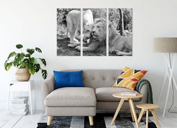 Pixxprint Leinwandbild verliebtes Löwenpaar Kunst B&W, verliebtes Löwenpaar Kunst B&W 3Teiler (120x80cm) (1 St), Leinwandbild fertig bespannt, inkl. Zackenaufhänger