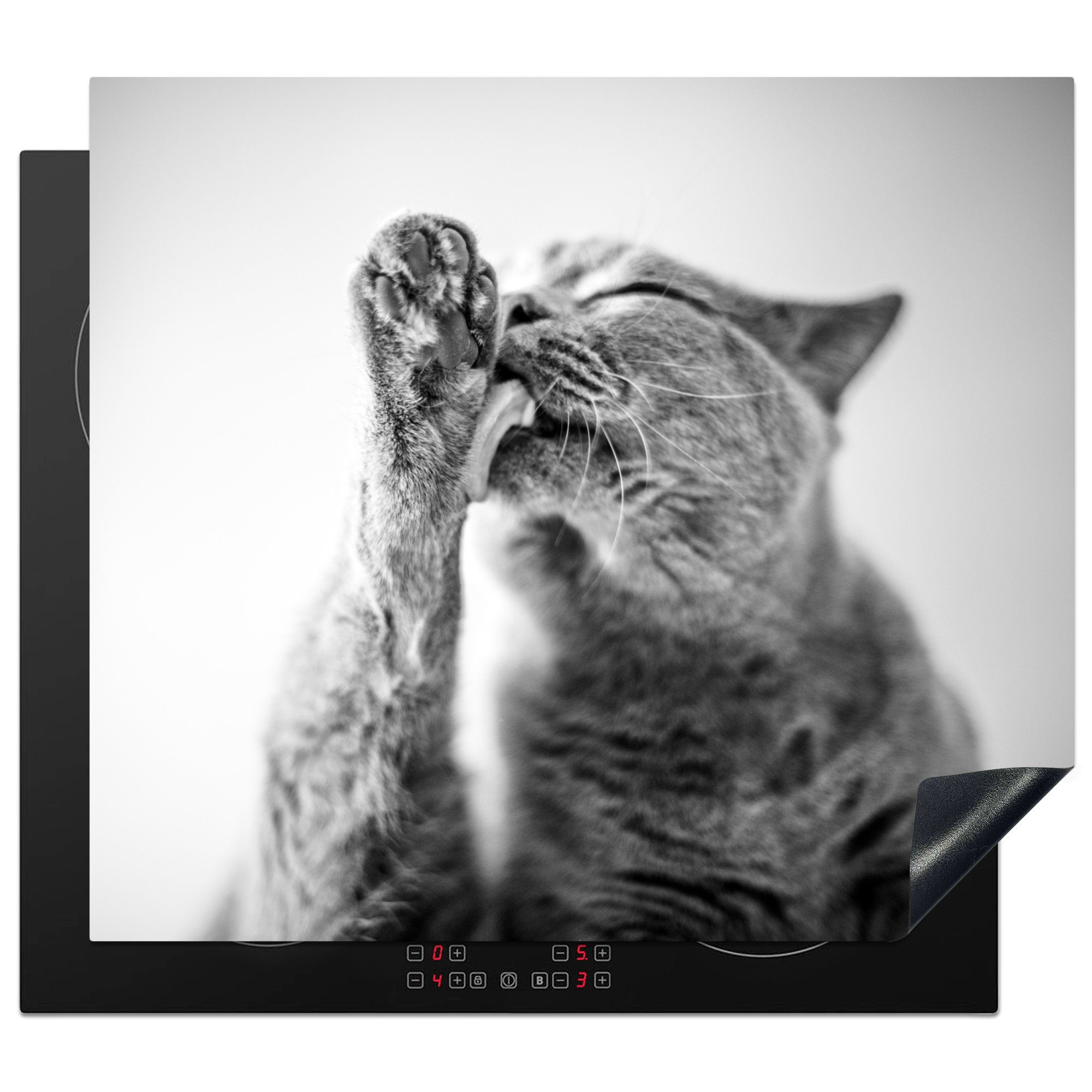 MuchoWow Herdblende-/Abdeckplatte Katze leckt ihre Pfote, Vinyl, (1 tlg), 59x52 cm, Ceranfeldabdeckung für die küche, Induktionsmatte
