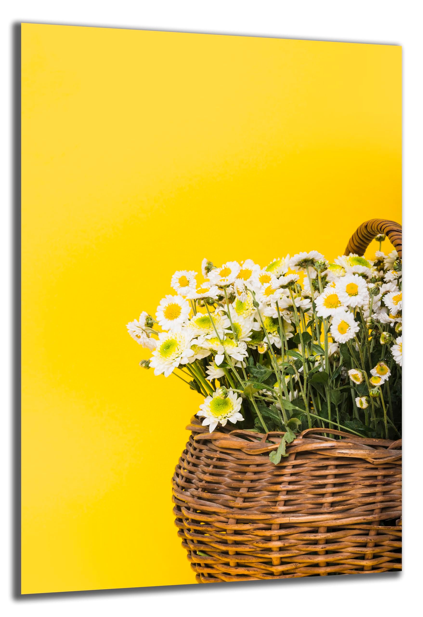 DARO Design Wandbild Sonnenblumen Wandbilder Wand Deko Bilder Geschenk Leinwandbild, (Korb Blumen Gänseblümchen - Bild klein Wohnzimmer Schlafzimmer Büro Flur Esszimmer Einteilig Querformat Fotodruck Sonnenblumen), 30x20 cm