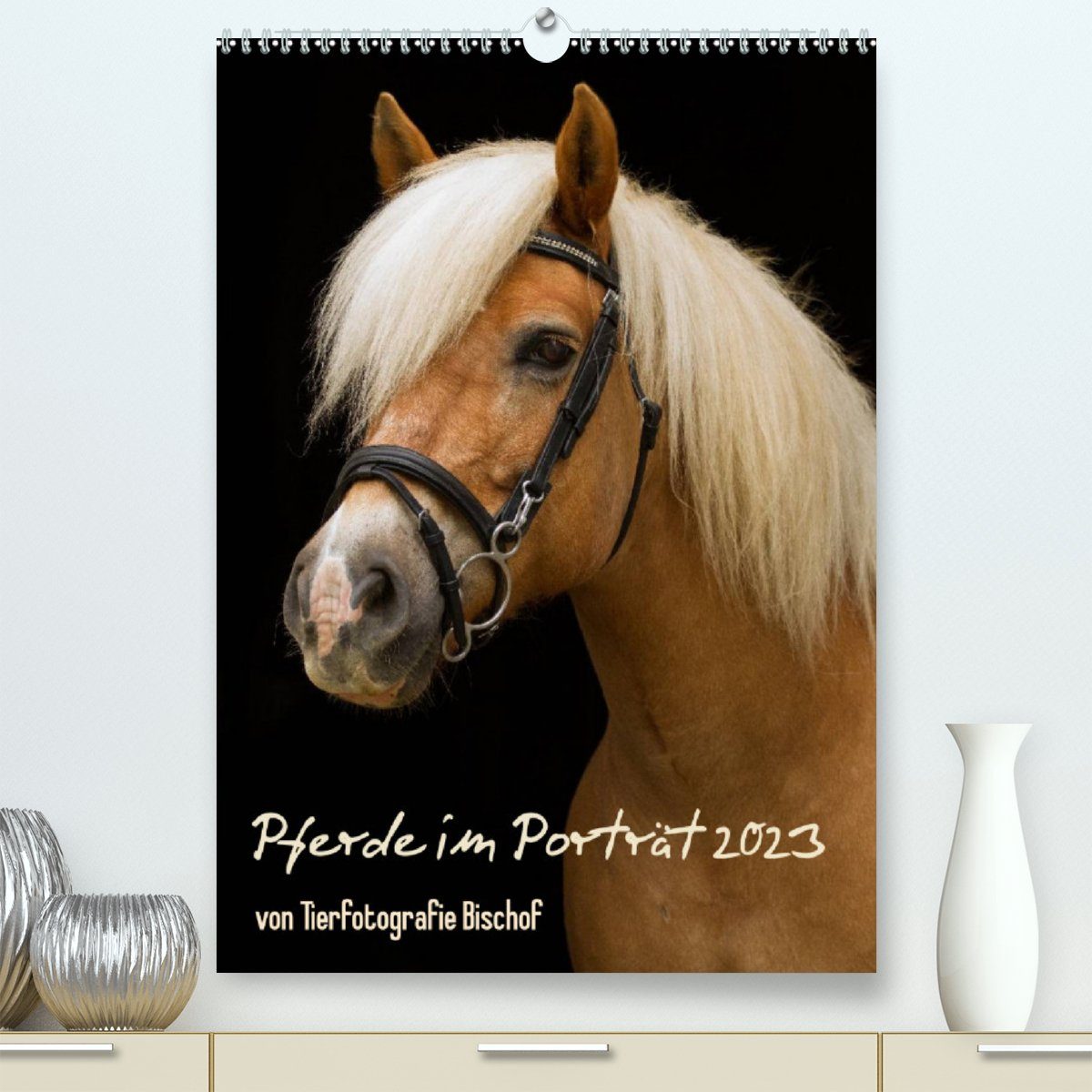 CALVENDO Wandkalender Pferde im Portait (Premium, hochwertiger DIN A2 Wandkalender 2023, Kunstdruck in Hochglanz)