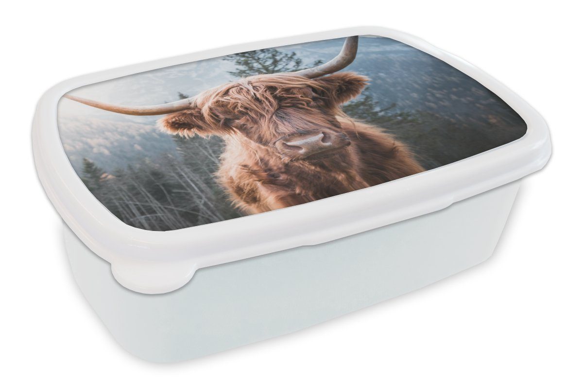 MuchoWow Lunchbox Schottischer Hochländer - Kuh - Tiere - Berg - Natur, Kunststoff, (2-tlg), Brotbox für Kinder und Erwachsene, Brotdose, für Jungs und Mädchen weiß