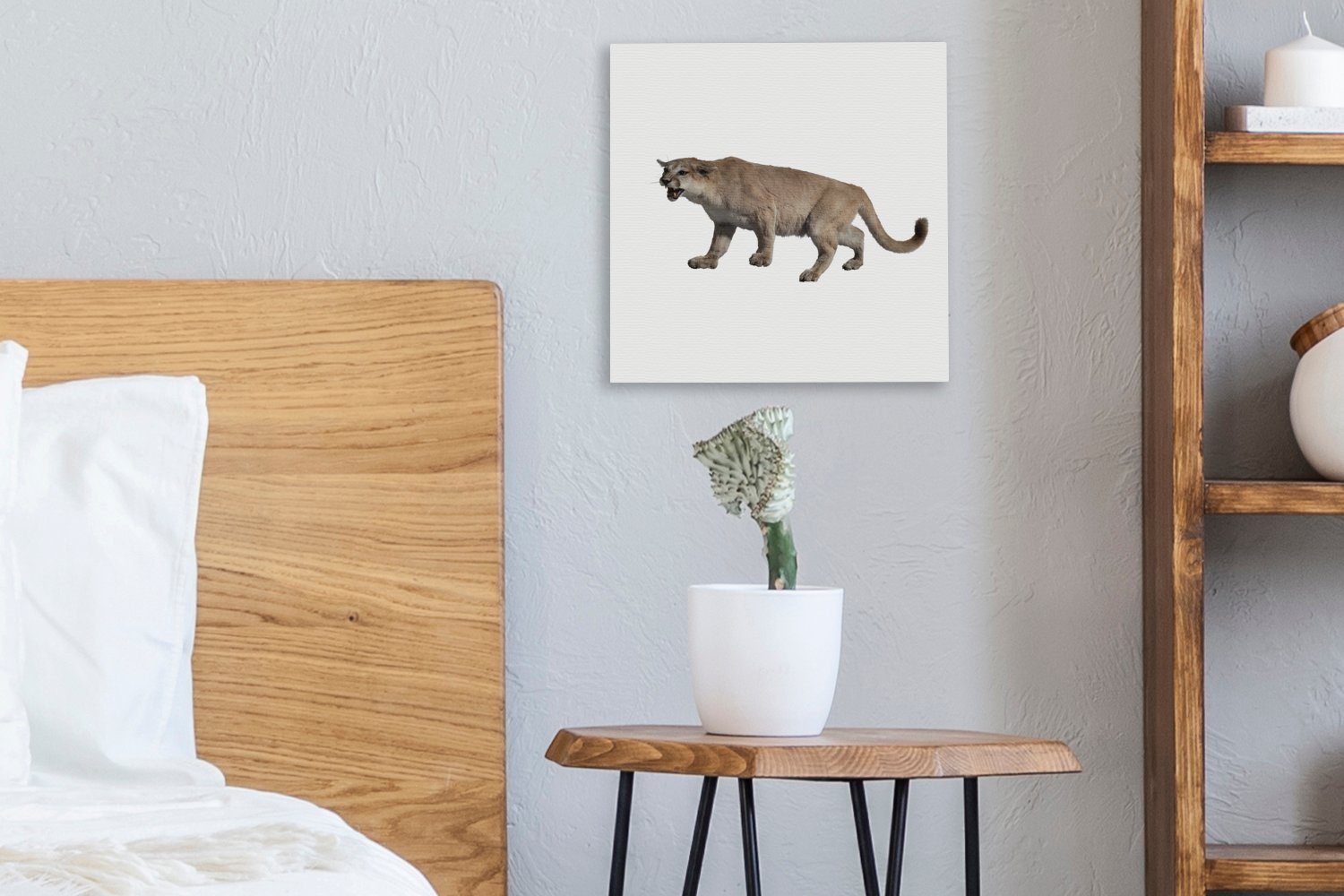 Puma ihm, Bilder St), Ausschau Leinwandbild weißem hält auf Wohnzimmer Schlafzimmer (1 Hintergrund Ein nach OneMillionCanvasses® Leinwand für