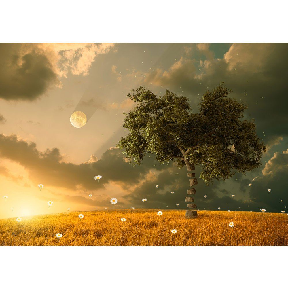 liwwing Fototapete Fototapete Natur Feld Sonne Mond Baum liwwing no. 237, Natur