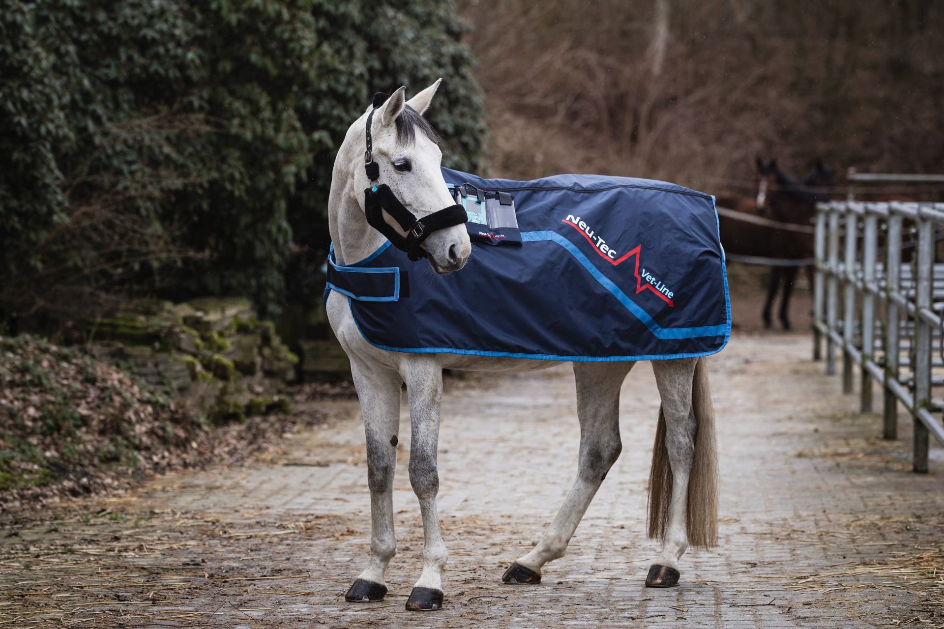 Pferde-Stalldecke Neu-Tec Vet-Line „Equi“ PEMF Impuls Magnetfeld Therapiedecke