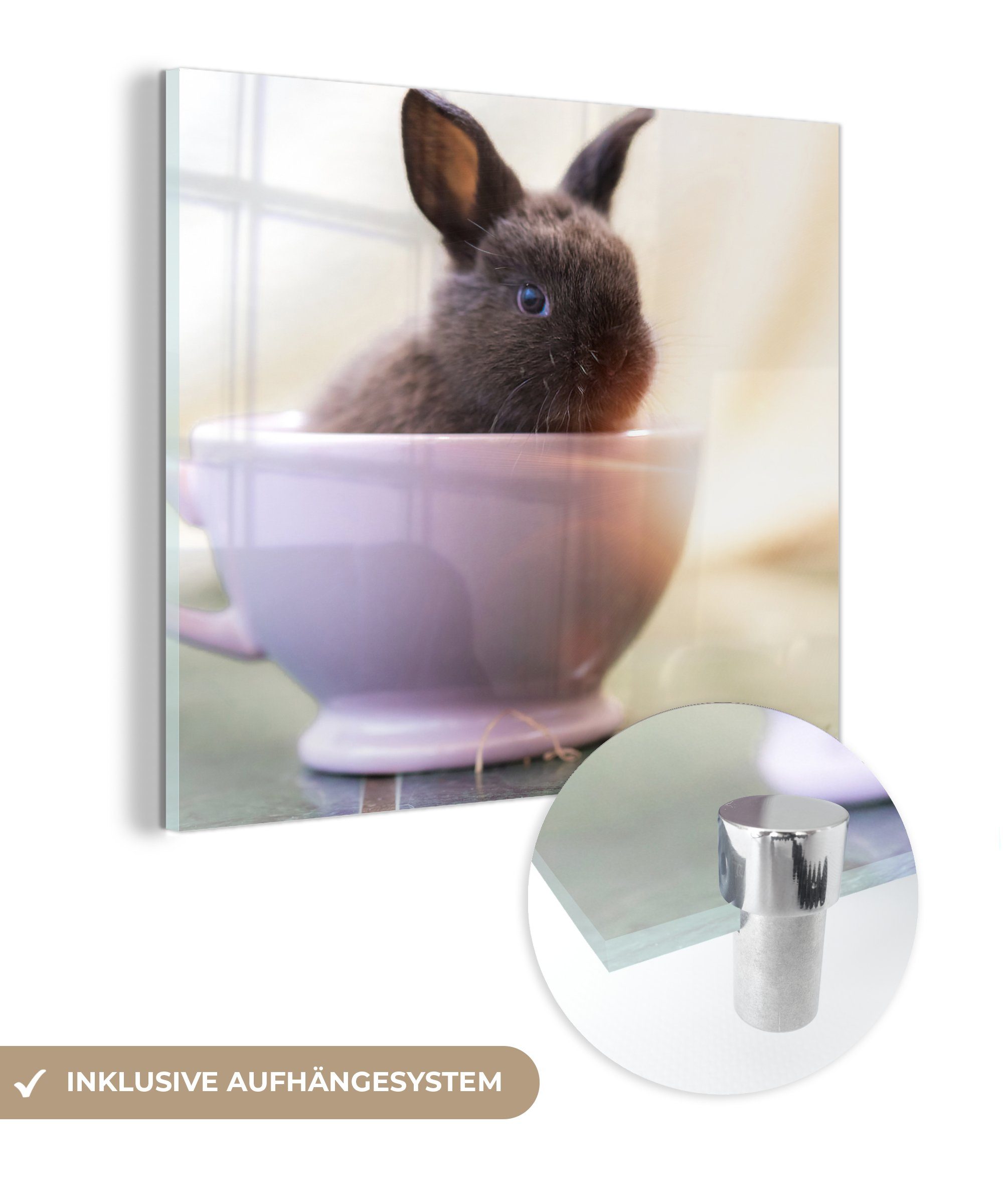 MuchoWow Acrylglasbild Kaninchen - Baby - Teetasse, (1 St), Glasbilder - Bilder auf Glas Wandbild - Foto auf Glas - Wanddekoration