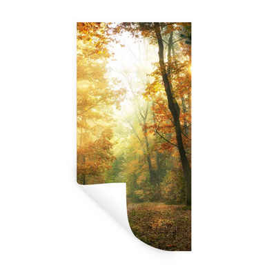 MuchoWow Wandsticker Wald - Herbst - Sonne - Landschaft - Natur - Bäume - Laub (1 St), Wanddeko, Aufkleber für die Schlafzimmer, Wohnzimmer, Wandtattoo