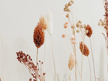 Trockenblume FlowerBar “FATA MORGANA” mit Wandhalterung, FlowerBar by Trockenblumen-Manufaktur