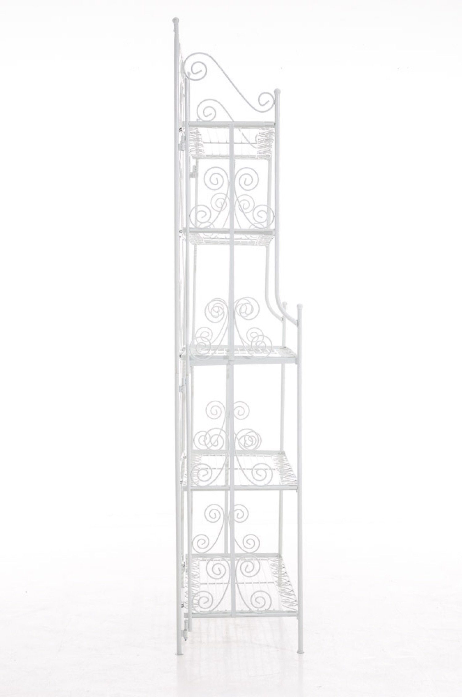 TPFGarden Standregal Cio - Blumenständer - 5-stöckiges Pflanzenregal, Blumenregal - Pflanzengestell, Pflanzenständer mit den Maßen (HxB xT): 173 x 74,5 x 34,5 cm