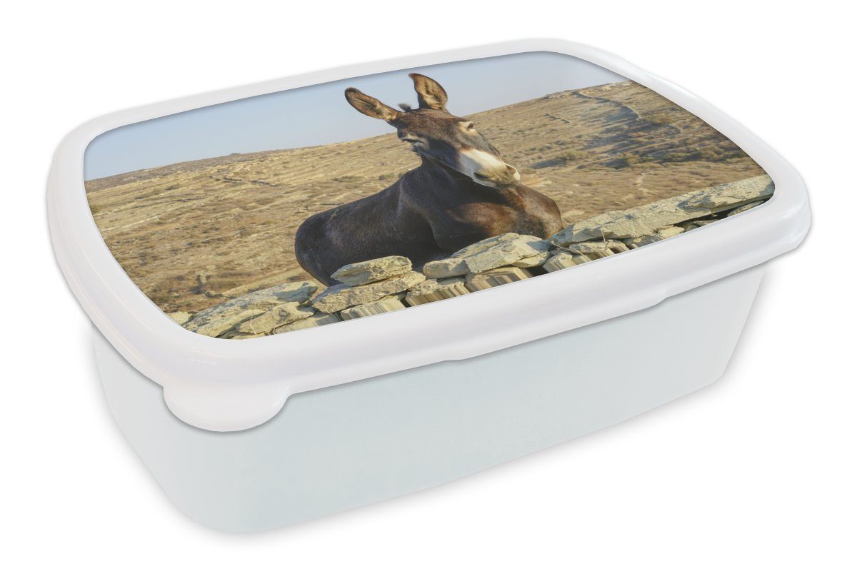 MuchoWow Lunchbox Esel hinter den Steinen, Kunststoff, (2-tlg), Brotbox für Kinder und Erwachsene, Brotdose, für Jungs und Mädchen weiß