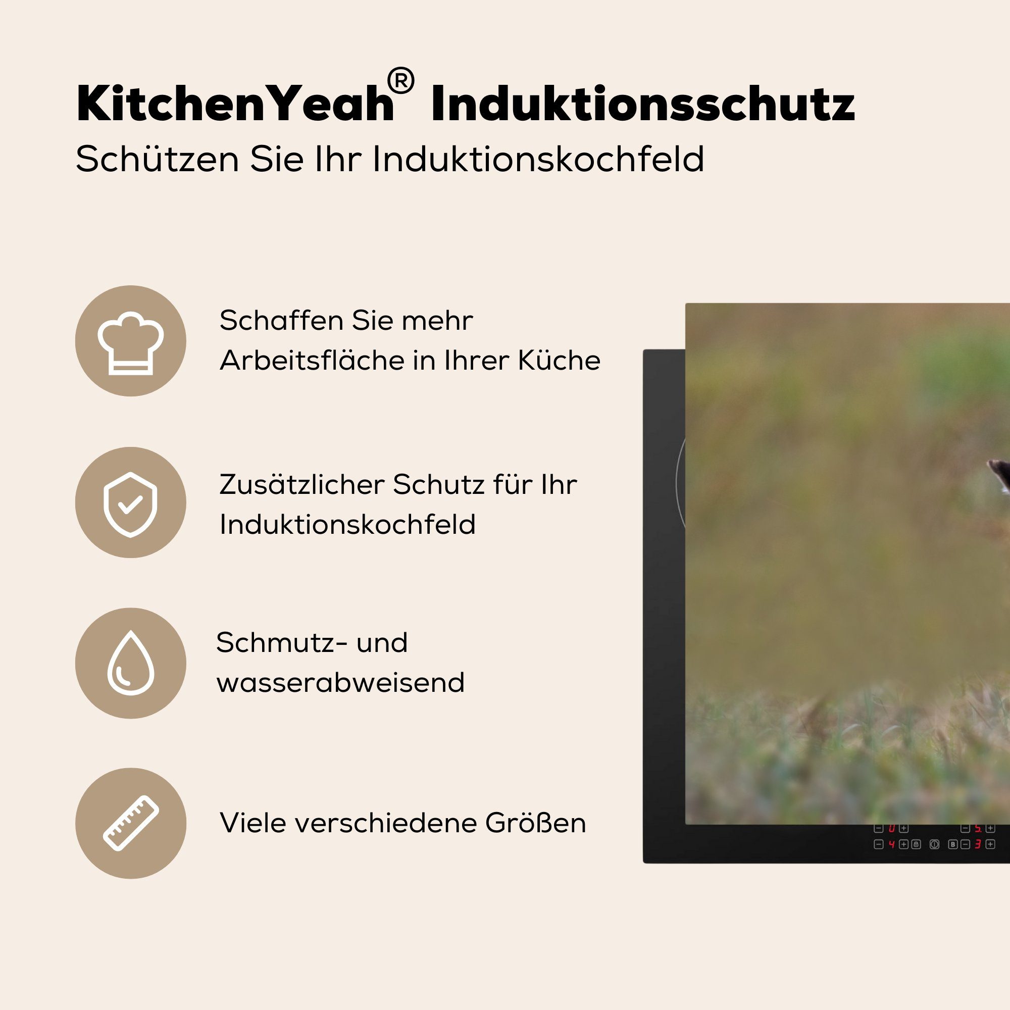 MuchoWow Herdblende-/Abdeckplatte Fuchs - Induktionskochfeld die Ceranfeldabdeckung - tlg), Gras küche, 81x52 (1 cm, Tiere, Schutz Vinyl, für