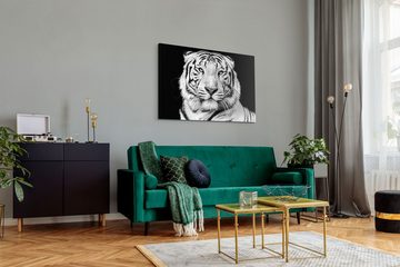 Sinus Art Leinwandbild 120x80cm Wandbild auf Leinwand Weißer Tiger Porträt Schwarz Weiß Tierf, (1 St)