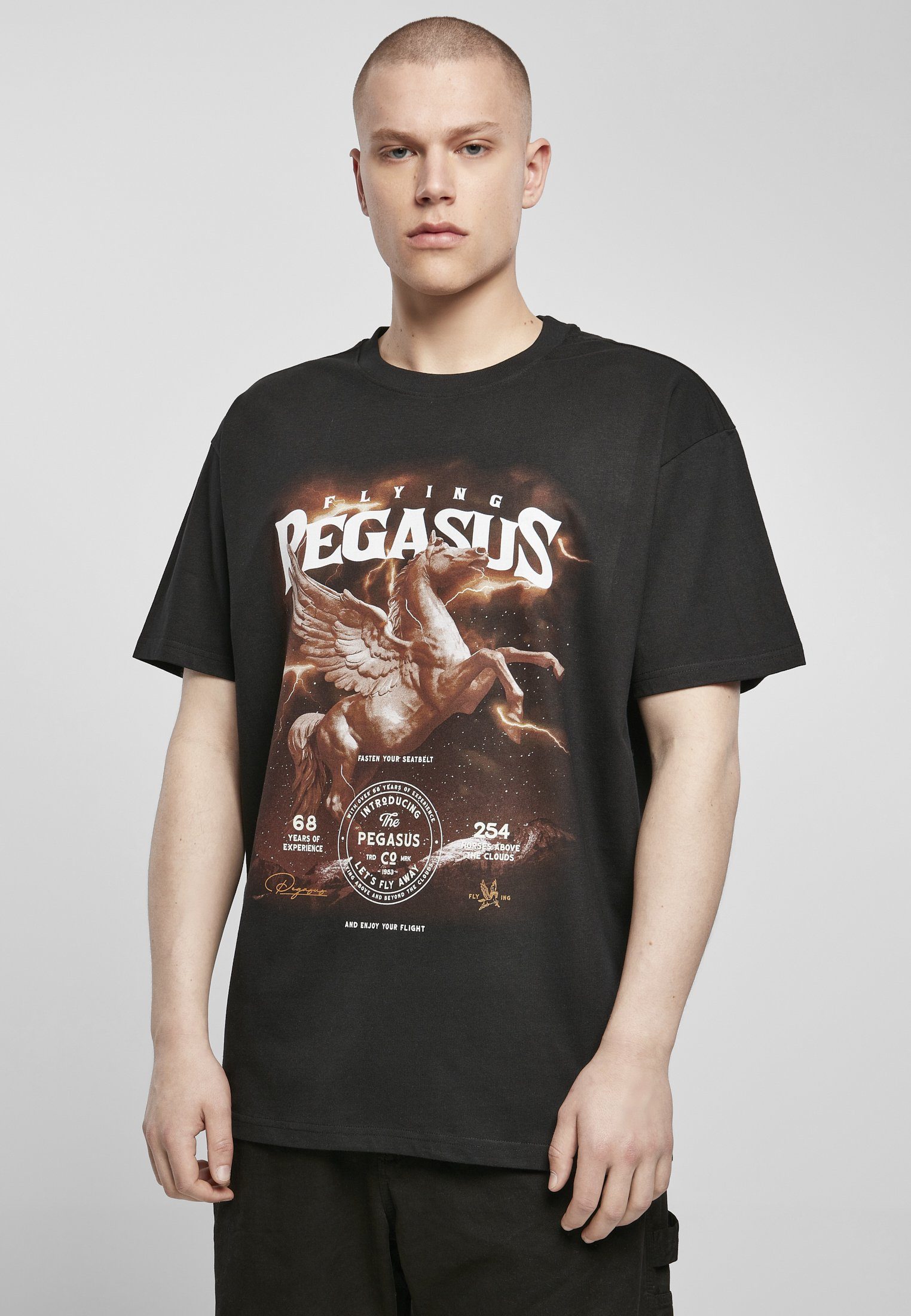 Upscale by Mister Tee T-Shirt Unisex Pegasus Oversize Tee (1-tlg)