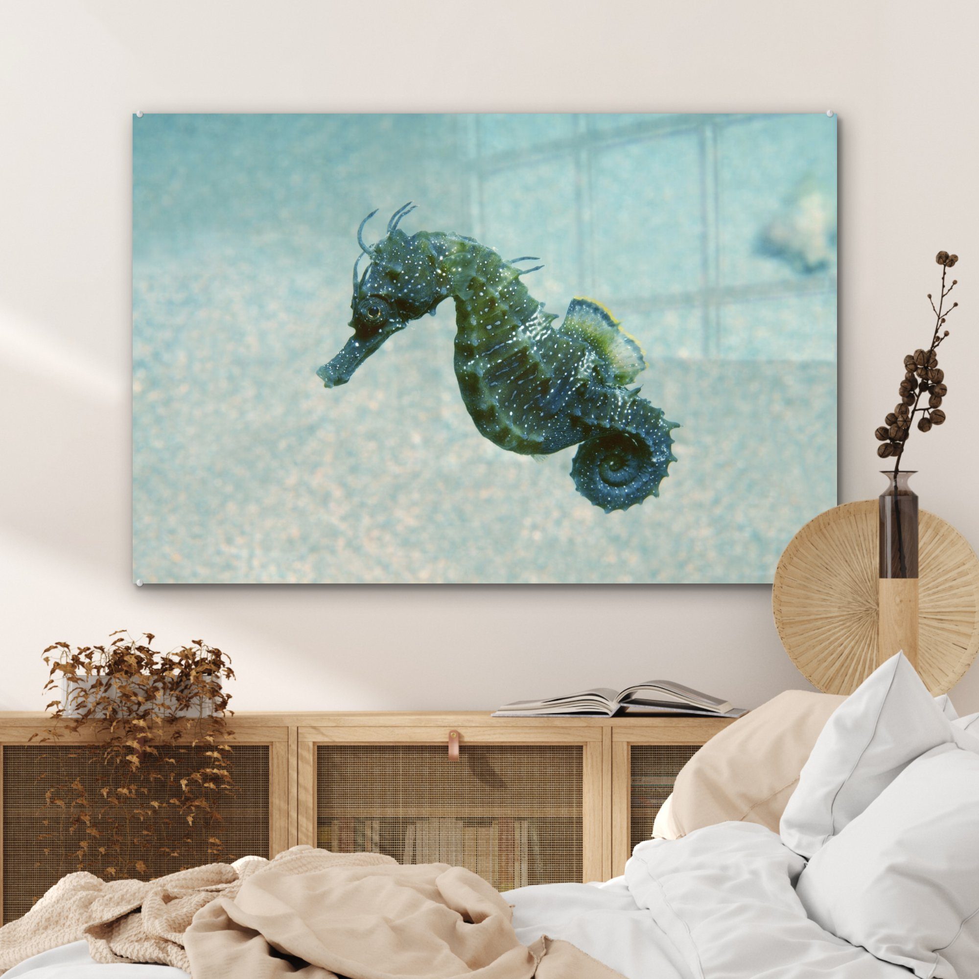 im eines MuchoWow & Meer, St), Schlafzimmer (1 Acrylglasbilder Acrylglasbild Seepferdchens Wohnzimmer Bild