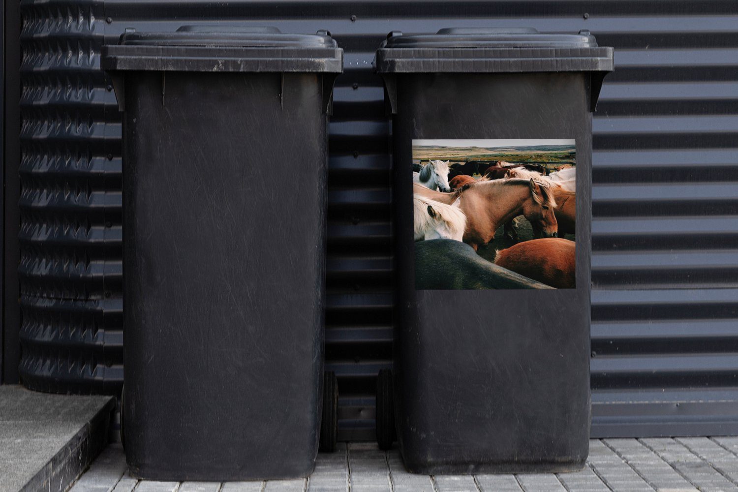 Container, - (1 MuchoWow St), Pferde Tiere Mülleimer-aufkleber, Wandsticker Abfalbehälter Mülltonne, Sticker, Spiel -