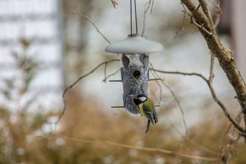 PLASTIA Vogelhaus "Robin" 2-in-1 Set für Vogelfütterung 27,5x18x16,4 cm - in 2 Farben