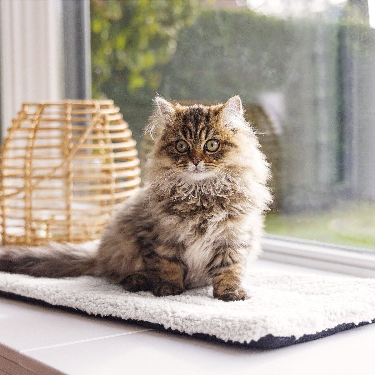 Beeztees Tierbett Kitten Fensterbank-Matte Moos weiß aus Plüsch – Bild 4 von 4