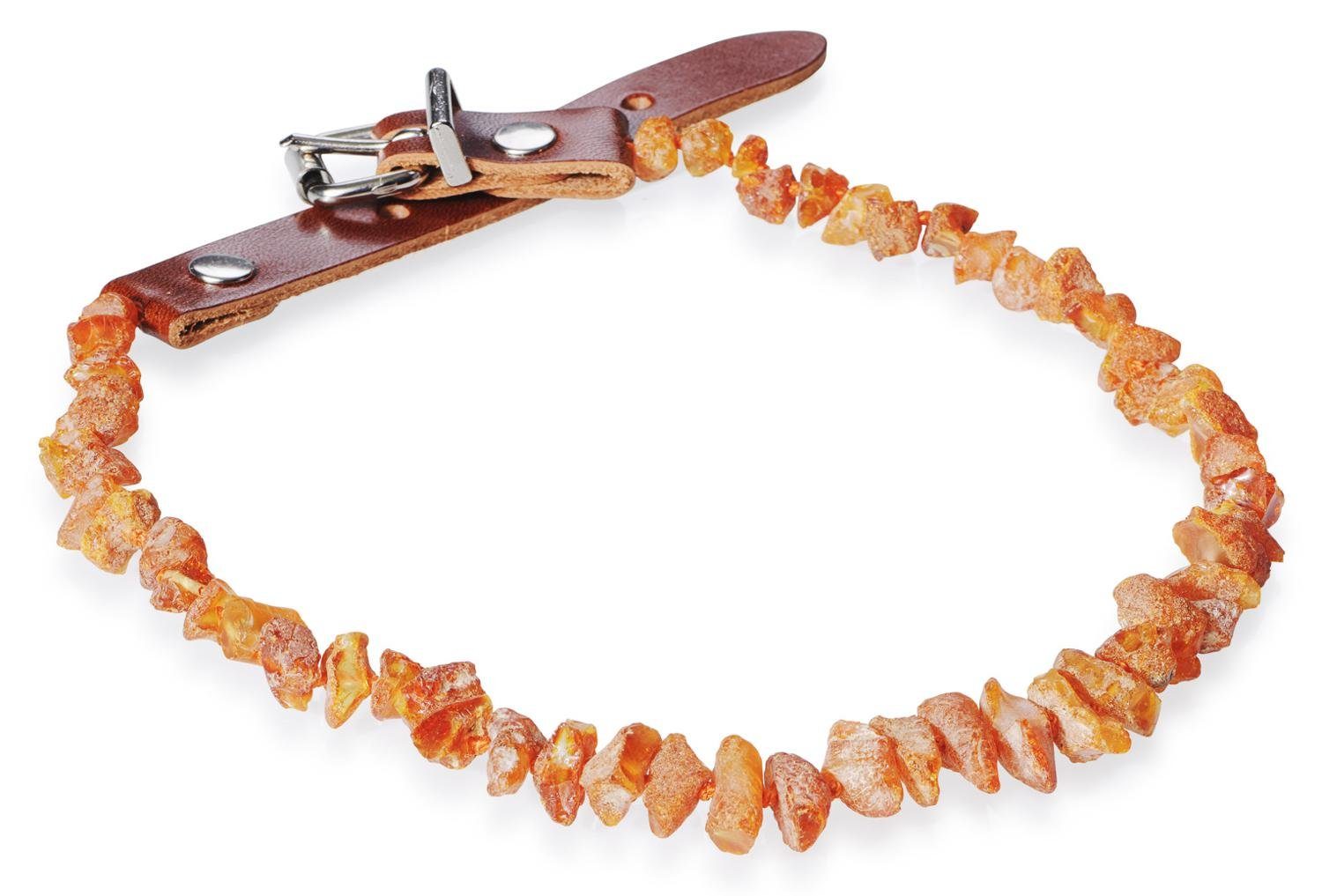 PETGARD Tier-Halsband Bernsteinhalsband Bernsteinkette, Bernstein, mit Lederverschluss für Hunde + Katzen 31-35 cm