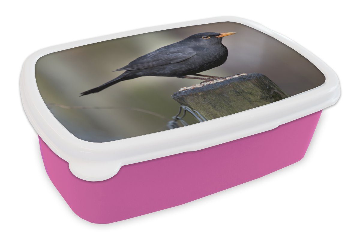 Brotbox rosa Kunststoff einem Erwachsene, Mädchen, MuchoWow (2-tlg), Snackbox, Brotdose sitzend, für auf Kinder, Kunststoff, Holzpfahl Amsel Lunchbox