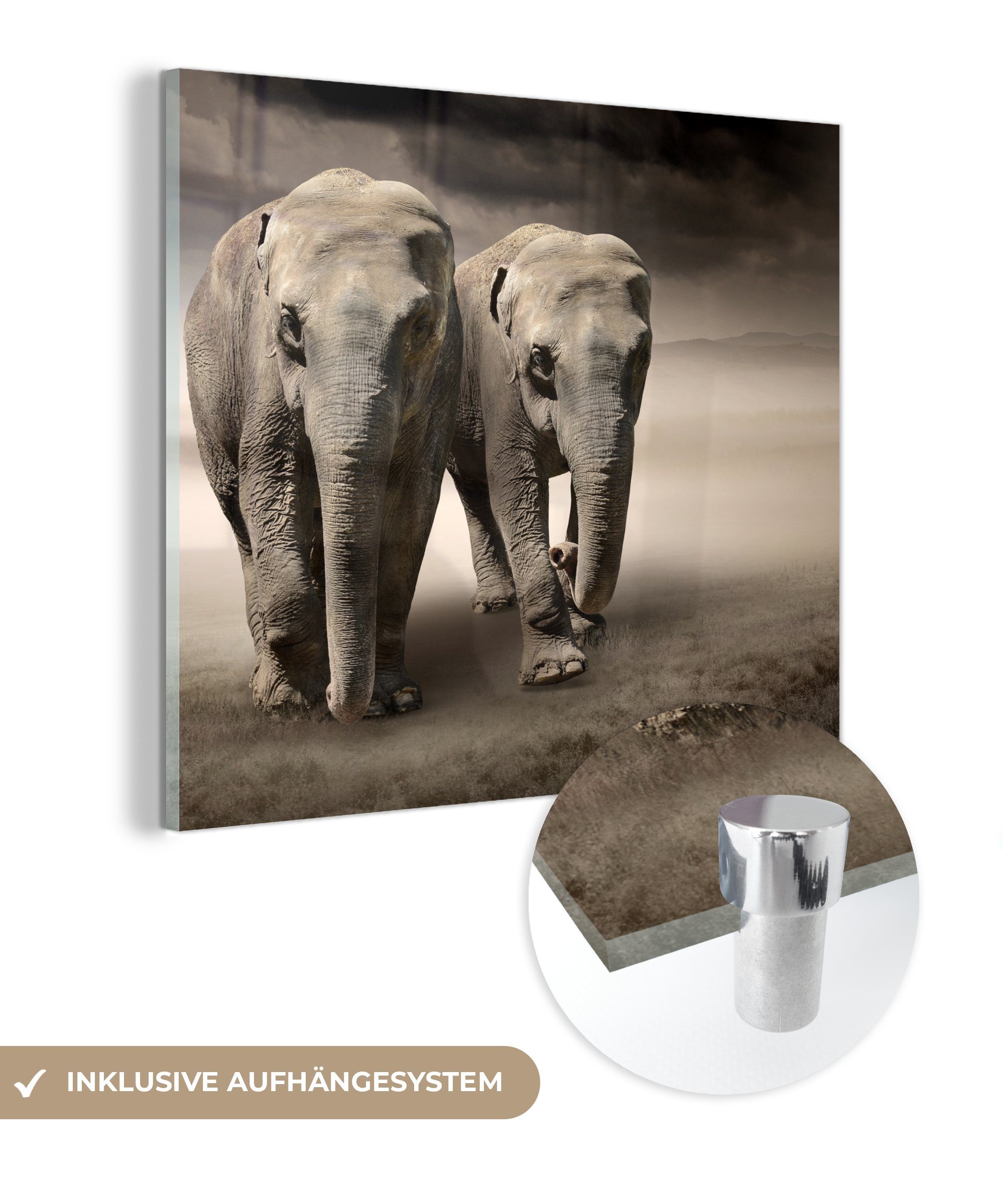 MuchoWow Acrylglasbild Elefant - Ehepaar - Berg, (1 St), Glasbilder - Bilder auf Glas Wandbild - Foto auf Glas - Wanddekoration