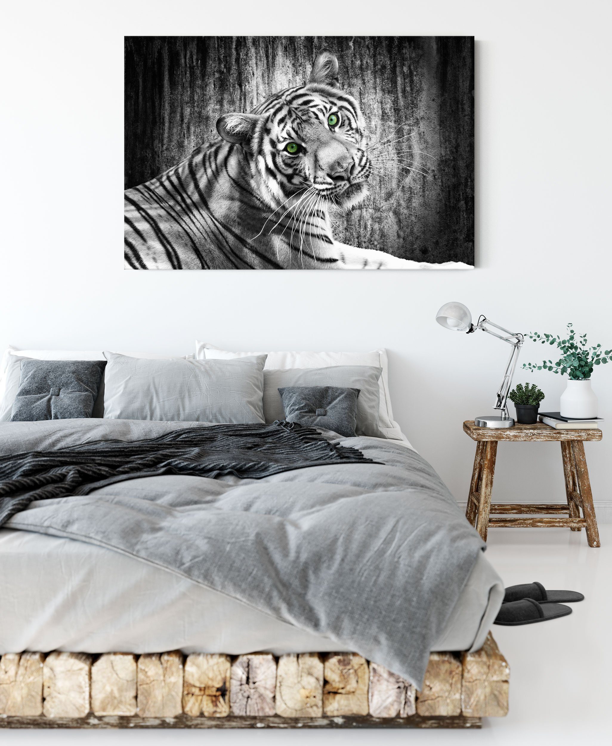 neugieriger bespannt, Leinwandbild Leinwandbild Tiger, Tiger St), schöner schöner (1 neugieriger Pixxprint inkl. Zackenaufhänger fertig