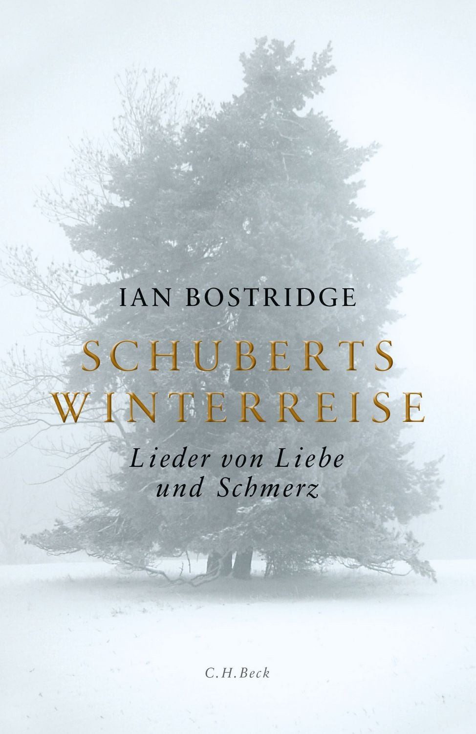 Schuberts Winterreise / Ian Bostridge